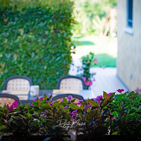 Agriturismo Olistella Palazzolo dello Stella Dış mekan fotoğraf